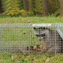 Waltham Pest Control - Pest Control Services