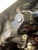 Rigg's Auto Centre - Motor Engineers, Mechanics & Repairers