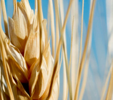 Agracom Pty Ltd - Quirindi, NSW