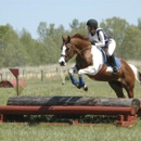 Hampton Cove Equestrian Center - Horse Dealers