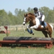 Hampton Cove Equestrian Center