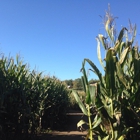 Treinen Farm Corn Maze and Pumpkin Patch