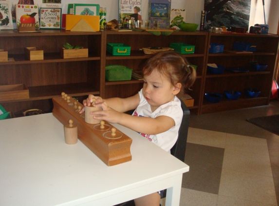 Community Montessori School - Phoenix, AZ