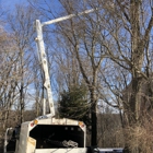 Adler Tree Service & Landscaping