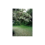 Gallery Image Number 8