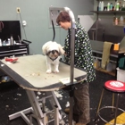 Dirty Dog Grooming