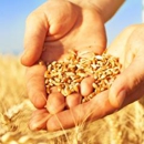 Rusty's Feed & Seed - Feed-Wholesale & Manufacturers