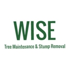 Wise Tree Maintenance & Stump Removal