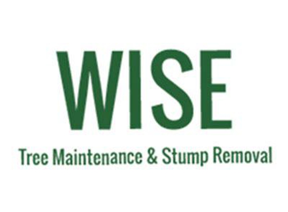 Wise Tree Maintenance & Stump Removal - Bullard, TX