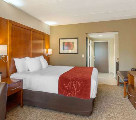 Comfort Suites Southpark - Colonial Heights, VA