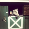 Bergen County Equestrian Center gallery