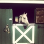 Bergen County Equestrian Center