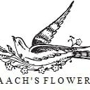 Braach's House Of Flowers