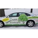 Nature's Touch Tree Care & Landscaping
