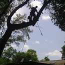 Foster's Lawn and Tree Service - Landscaping & Lawn Services