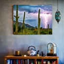 Photo Canvas Arts LLC - Home Decor