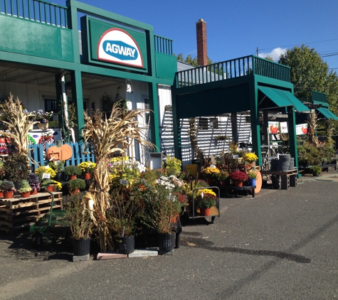 Raritan Agway Garden Center - Raritan, NJ