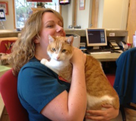 Midway Animal Hospital - Alpharetta, GA