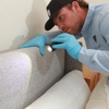 EcoShield Pest Solutions gallery