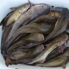 Tucker's Live Bait & Tackle