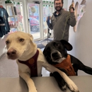 Lily's Play-N-Stay - Pet Boarding & Kennels