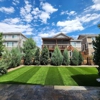 Rock N Block - Turf N Hardscapes - Castle Rock gallery