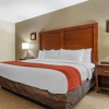 Comfort Inn & Suites Clemson-University Area gallery