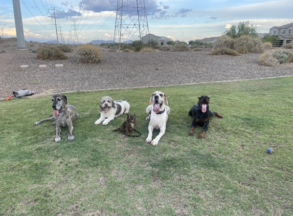 Fit Dog Training - Phoenix, AZ. Elisa's Pack
