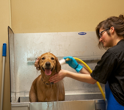 Kentucky Humane Society Eastpoint Pet Resort - Louisville, KY