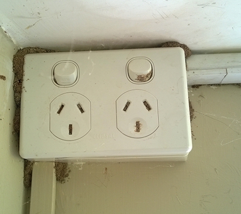 Termitedoc Pest Control - Cardiff, NSW. Termite Workings In A Power Point