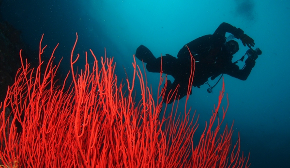 Channel Islands Scuba - Thousand Oaks, CA