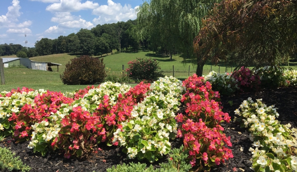 Brighton Dam Landscaping