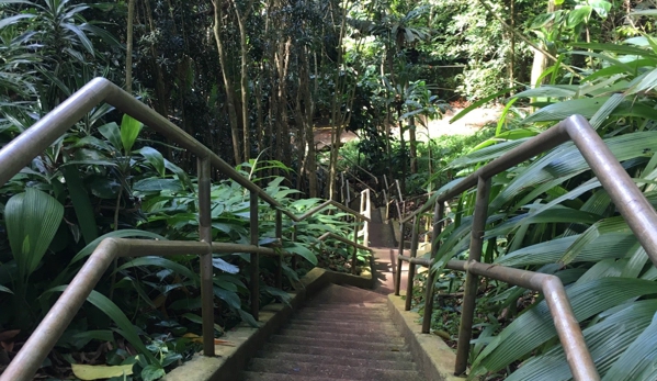 Wahiawa Botanical Garden - Wahiawa, HI