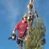 Total Tree Removal gallery