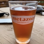 Metazoa Brewing Company