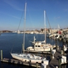 Annapolis City Marina gallery