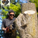 Louisville Felling Pro - Stump Removal & Grinding