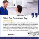 Webz Bugz - Pest Control Services