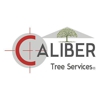 Caliber Tree Services gallery