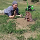 Preventive Pest Control - Pest Control Services-Commercial & Industrial