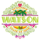 JS Watson Air - Fireplaces