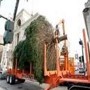 Homer Tree Service - Arborists