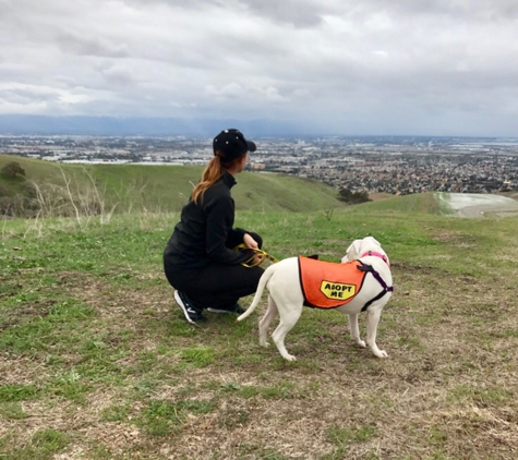 Ed Levin County Park - Milpitas, CA