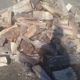 norcal firewood