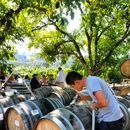 Tedeschi Family Winery - Wineries