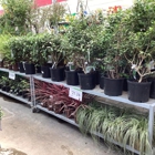 Tractor Supply Co