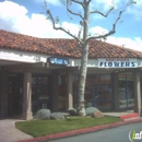 Edelweiss Flowers - Florists