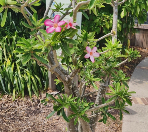 South Texas Botanical Gardens & Nature Center - Corpus Christi, TX