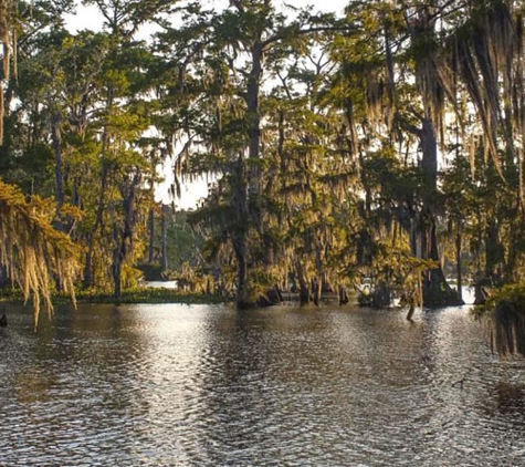 Roy K Burns Jr - Covington, LA