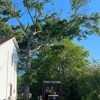 James River Tree Service gallery